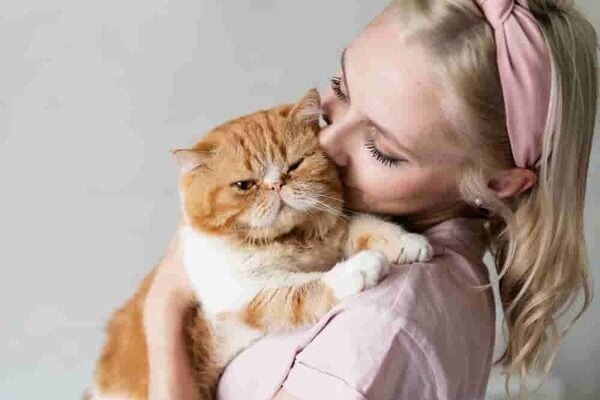 Blog Kategorileri Kedi Köpek Kediler Kaç Yıl Yaşar? Cinslerine Göre Ortalama Yaşam Süreleri