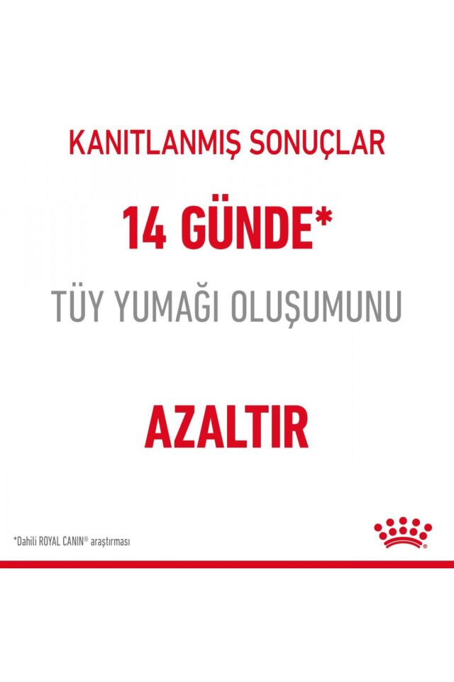 Hairball Care Yetişkin Kedi Maması 2 Kg