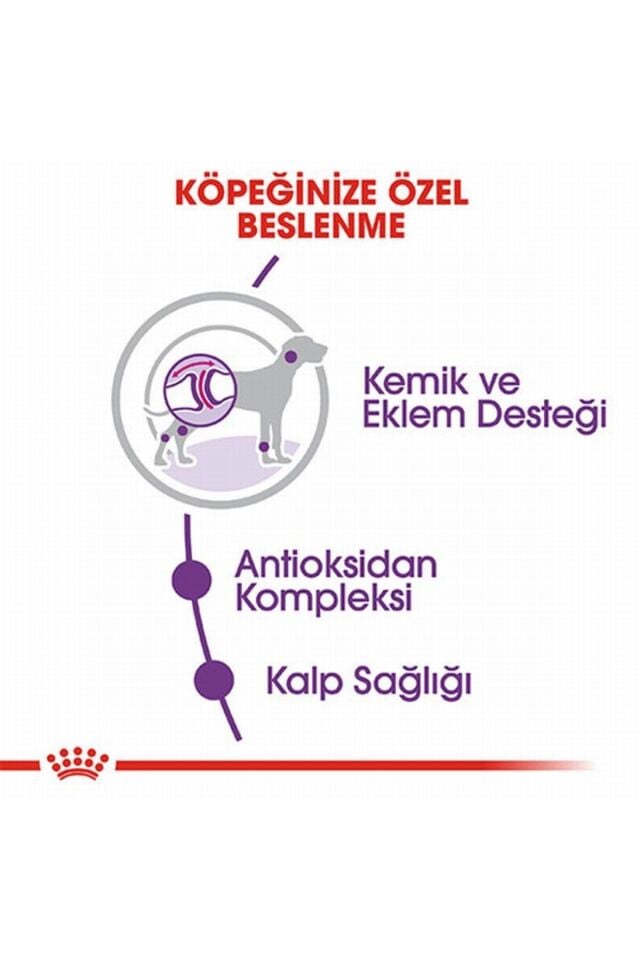 Royal Canin Giant Adult 15 kg Dev Irk Yetişkin Köpek Maması