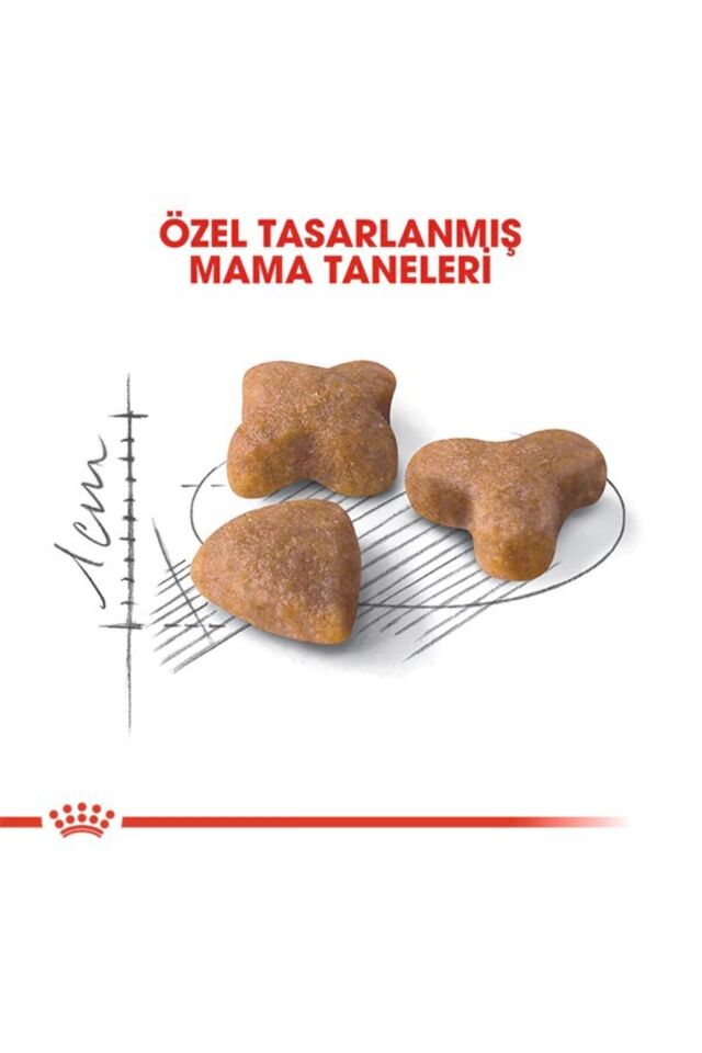 Royal Canin Sensible 33 Sindirim Destekleyici Yetişkin Kedi Maması 10 kg