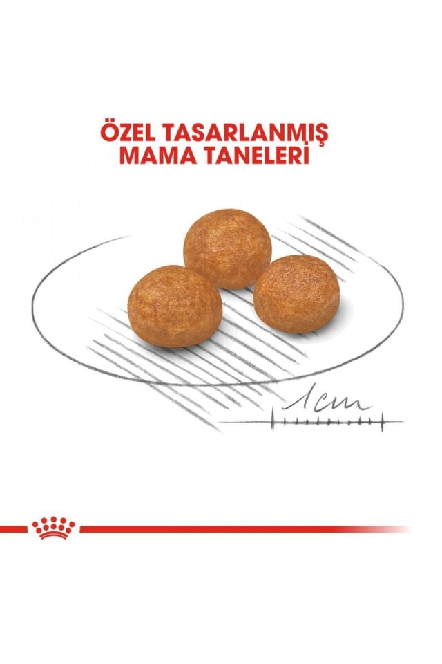 Xsmall Adult Çok Küçük Irklar Için Kuru Köpek Maması 3kg