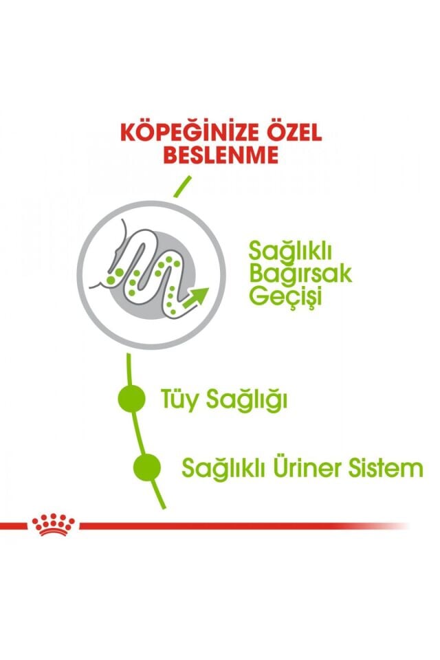 Xsmall Adult Çok Küçük Irklar Için Kuru Köpek Maması 3kg