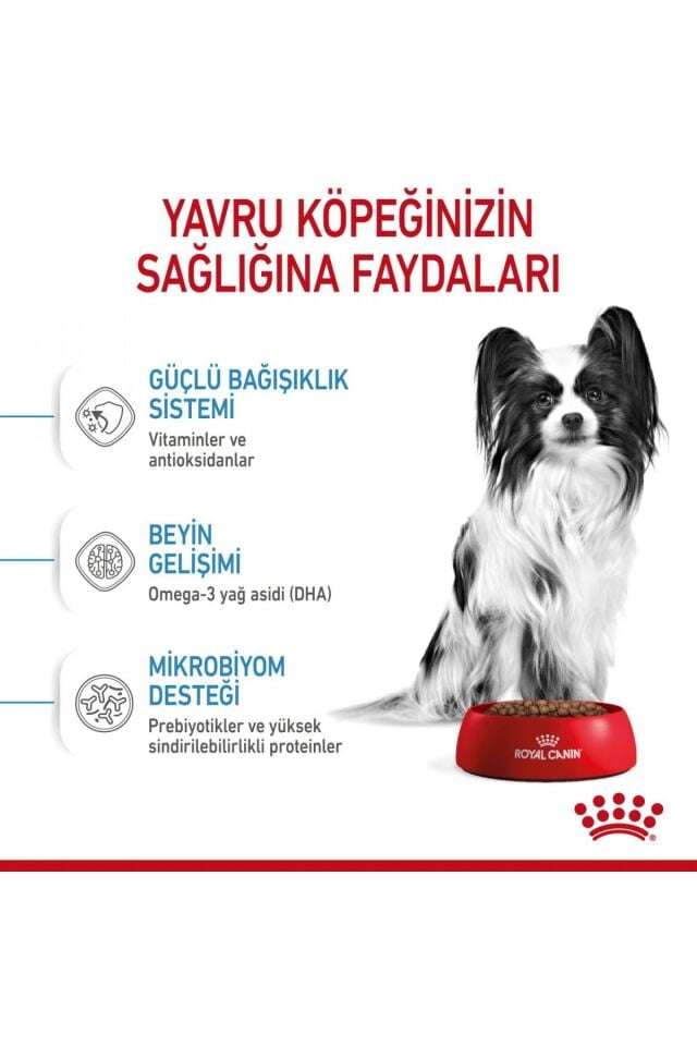 Xsmall Puppy Çok Küçük Irklar Için Yavru Kuru Köpek Maması 3kg