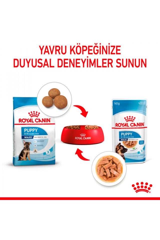 Royal Canin Maxi Puppy 140 gr 10'lu Yavru Köpek Yaş Maması