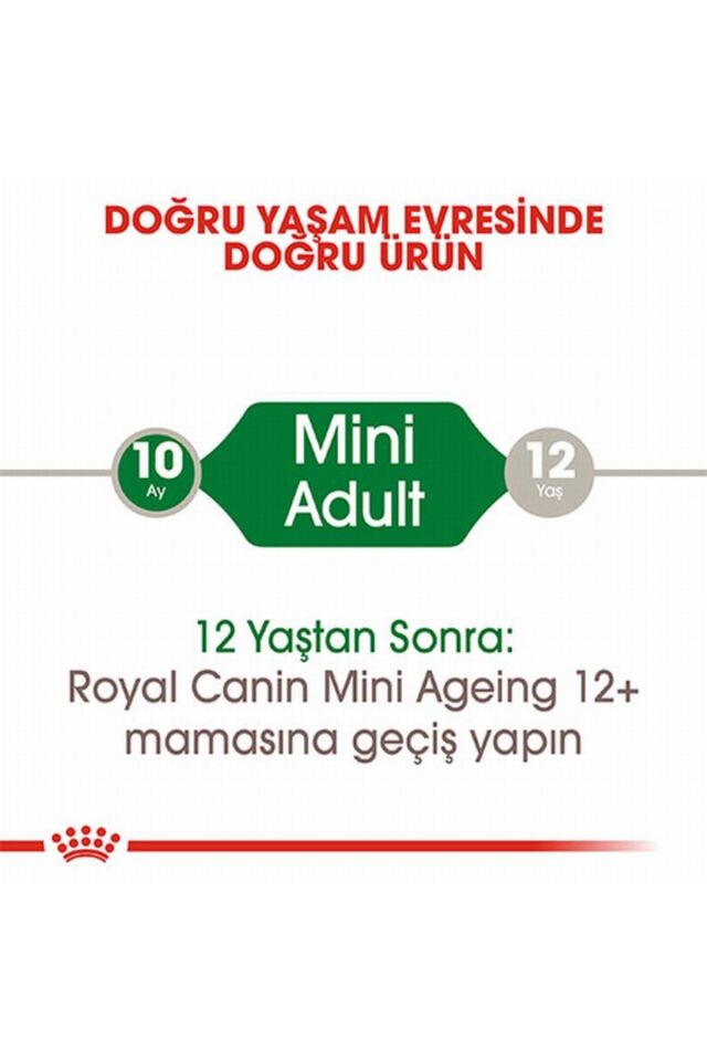 Mini Adult Pouch Yetişkin Köpek Konservesi 12 Adet 85 Gr