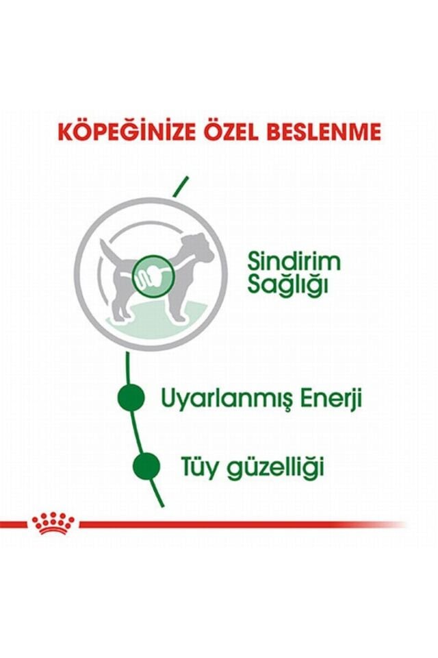 Mini Adult Pouch Yetişkin Köpek Konservesi 12 Adet 85 Gr