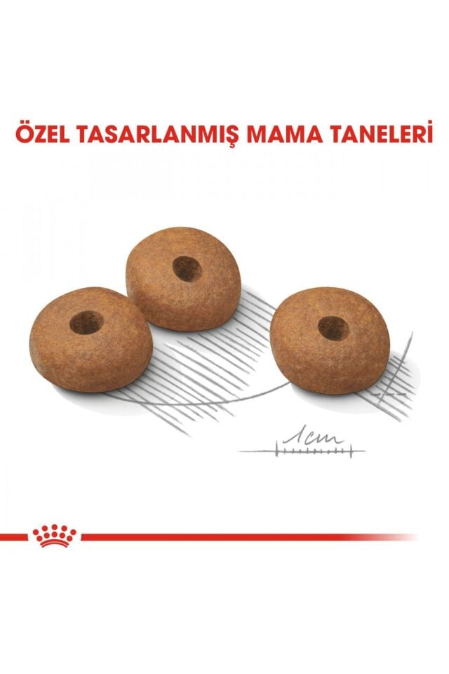 Mini Lightweight Kuru Köpek Maması 3kg