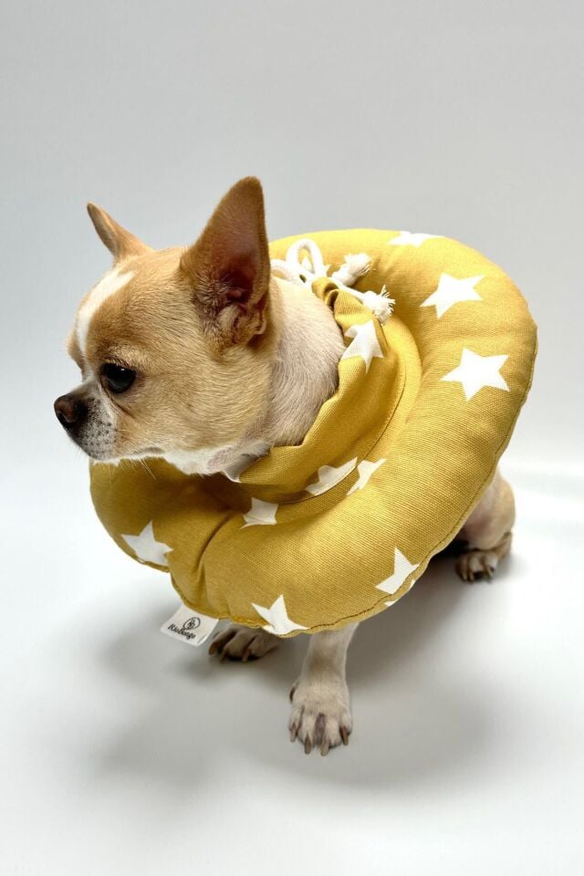 RİOBONGO Yıkanabilir Kedi & Köpek Yakalık Sarı No:10