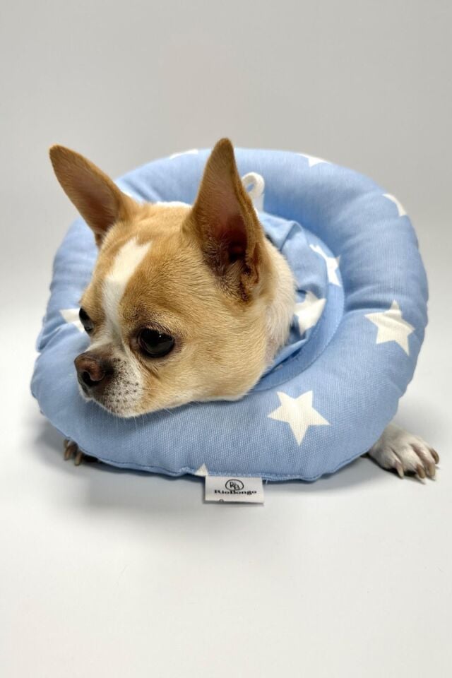 RİOBONGO Yıkanabilir Kedi & Köpek Yakalık Mavi No:10