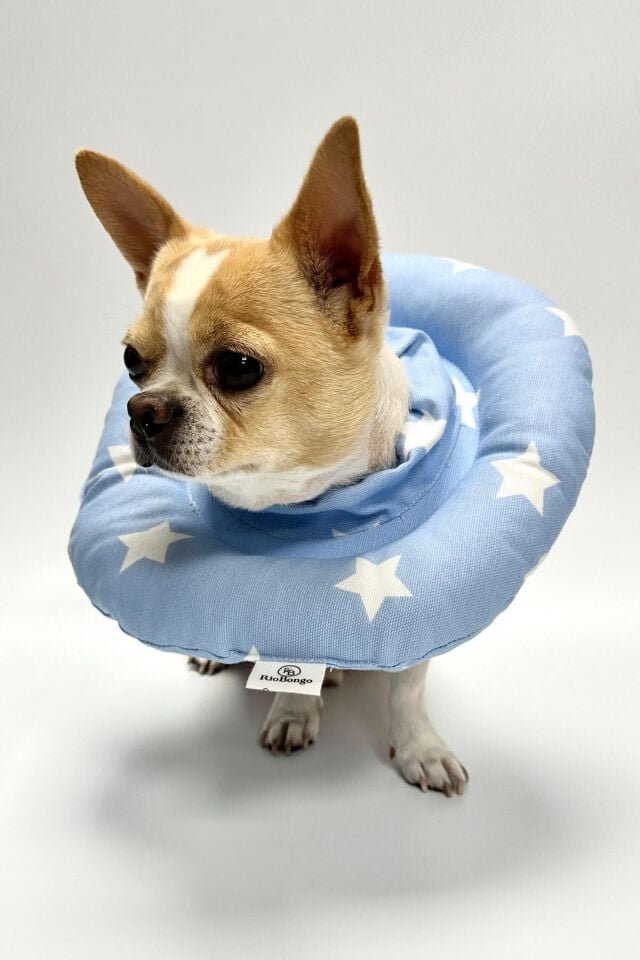 RİOBONGO Yıkanabilir Kedi & Köpek Yakalık Mavi No:10