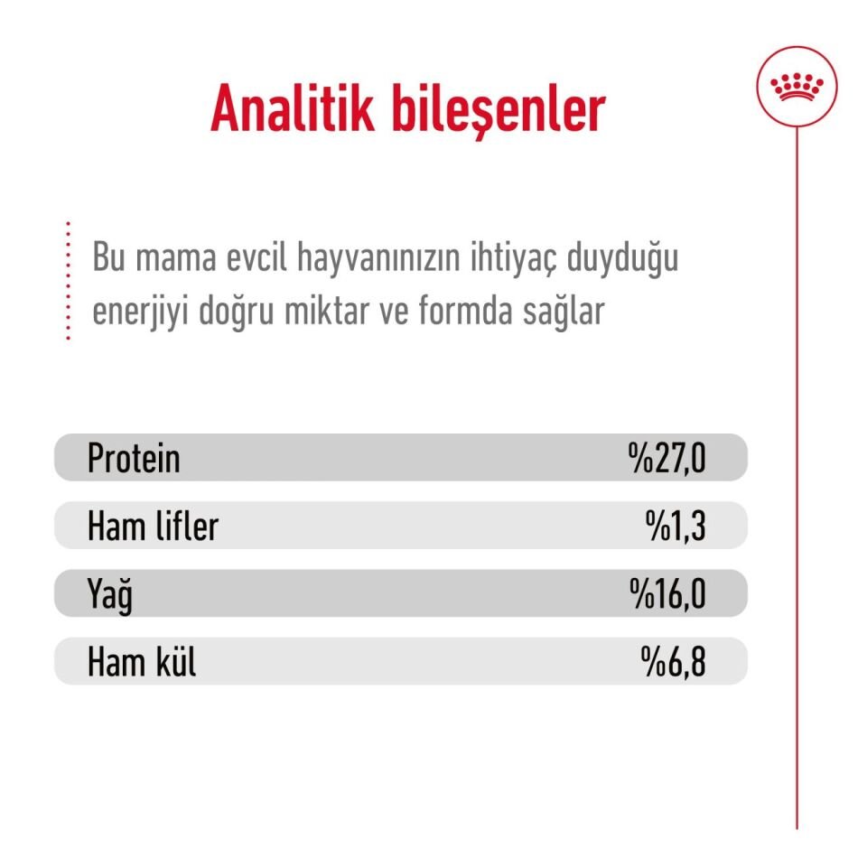 Royal Canin Mini Adult Küçük Irk Yetişkin Köpek Maması 2kg