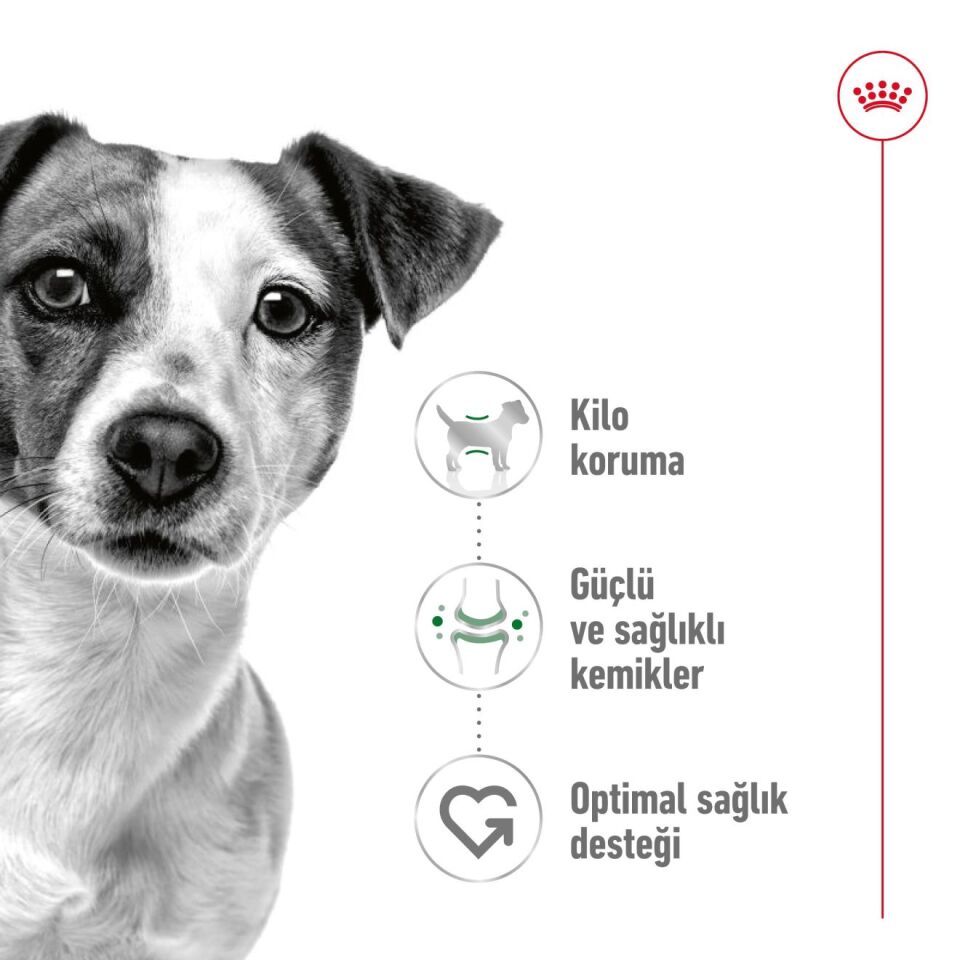 Royal Canin Mini Adult Küçük Irk Yetişkin Köpek Maması 2kg