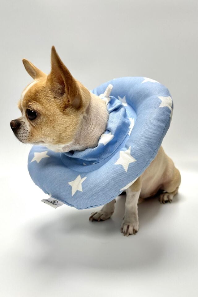 RİOBONGO Yıkanabilir Kedi & Köpek Yakalık Mavi No:7.5