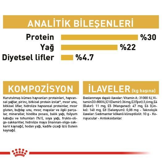 Royal Canin Persian İran Irkı Yetişkin Kedi Maması 4kg