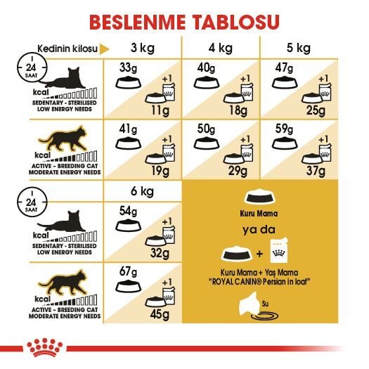 Royal Canin Persian İran Irkı Yetişkin Kedi Maması 4kg