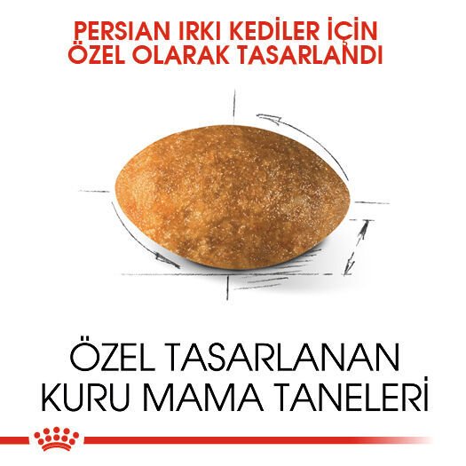 Royal Canin Persian İran Irkı Yetişkin Kedi Maması 4kg