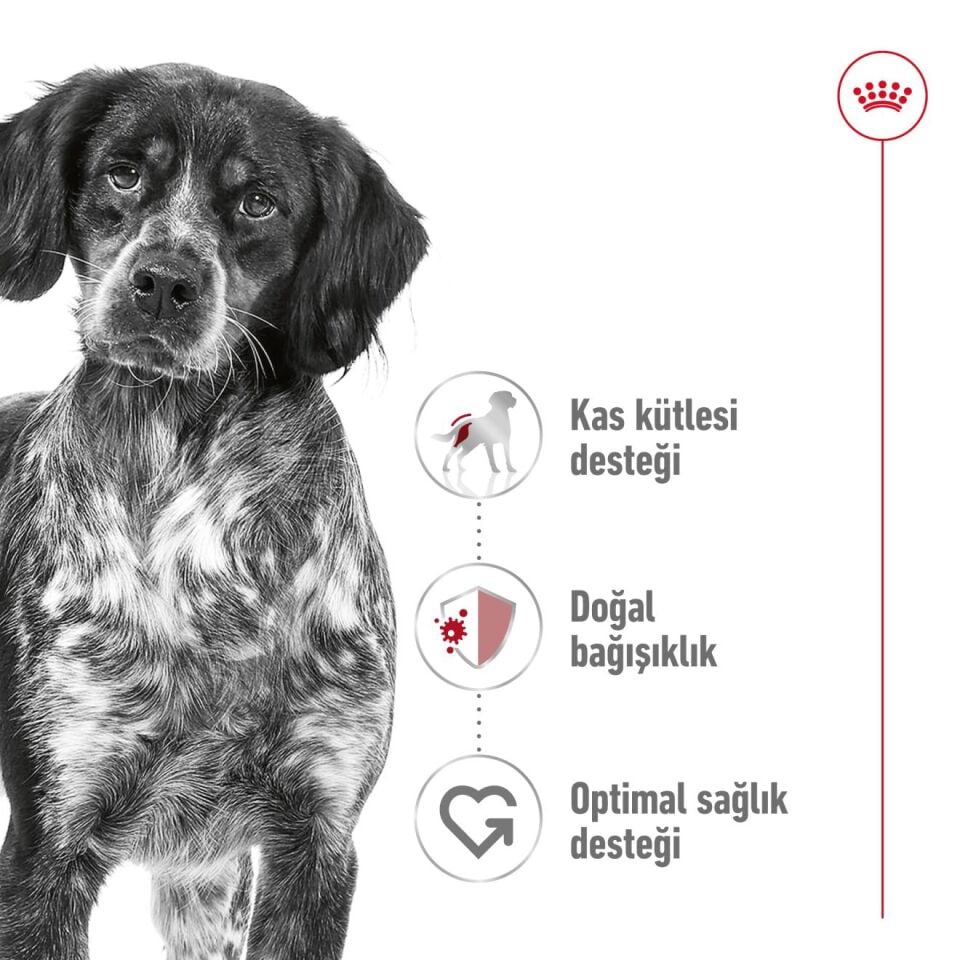 Royal Canin Medium Adult Orta Irk Yetişkin Köpek Maması 15kg