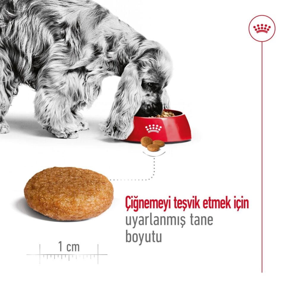 Royal Canin Medium Adult Orta Irk Yetişkin Köpek Maması 15kg