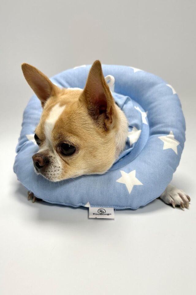 RİOBONGO Yıkanabilir Kedi & Köpek Yakalık Mavi No:12.5