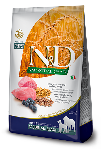 ND Ancestral Grain Düşük Tahıllı Kuzu Eti ve Yaban Mersinli Orta ve Büyük Irk Yetişkin Köpek Maması 12kg