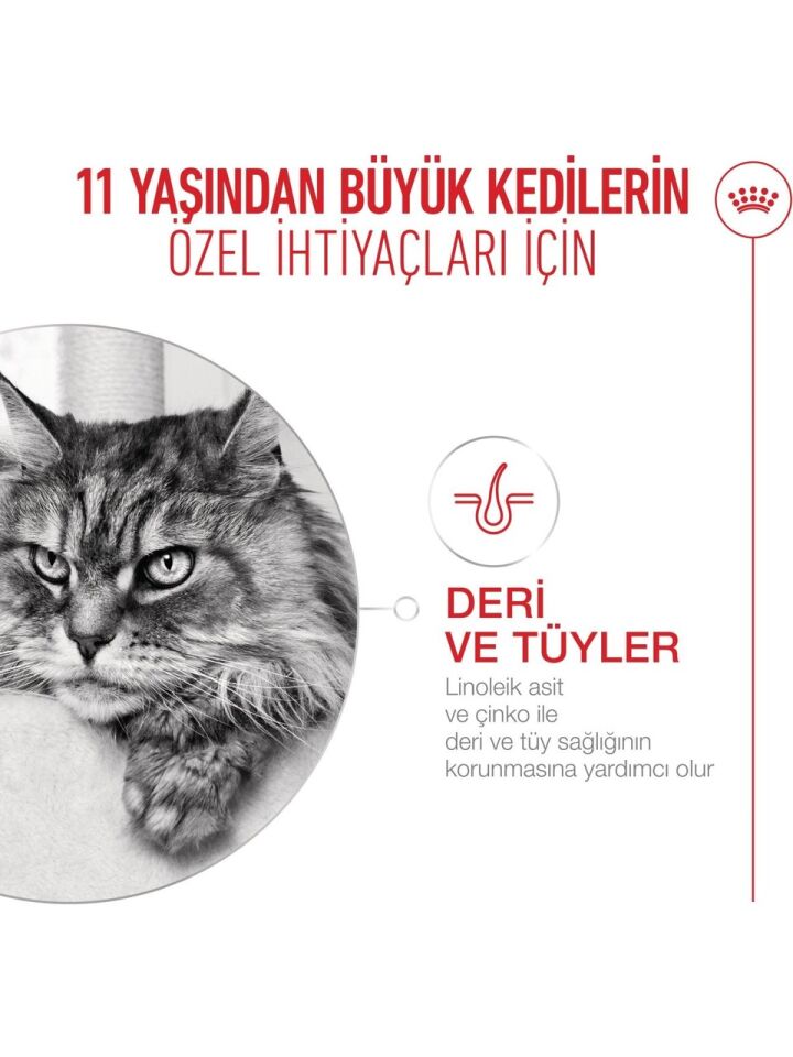 Royal Canin Ageing +11 Yaş Üzeri Yaşlı Kedi Maması 2kg