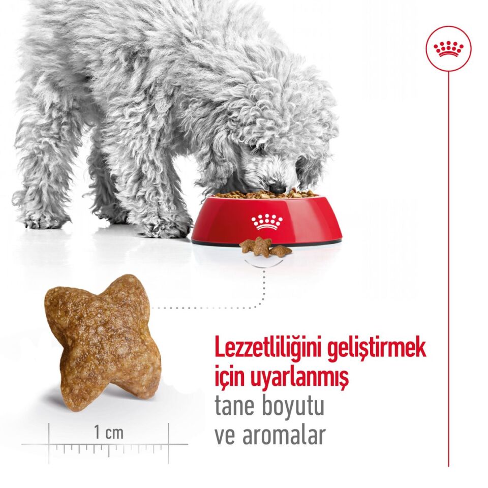 Royal Canin Mini Adult Küçük Irk Yetişkin Köpek Maması 8kg