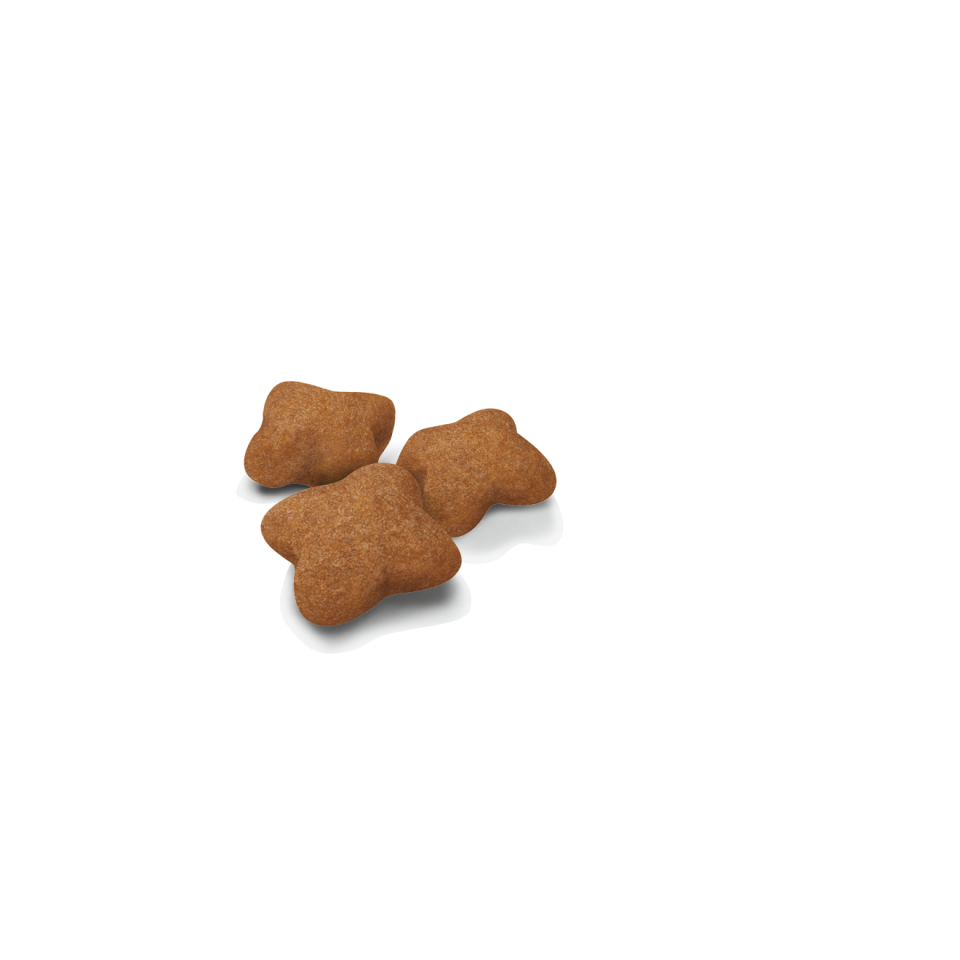 Royal Canin Kitten Sterilised Yavru Kısırlaştırılmış Kedi Maması 2kg