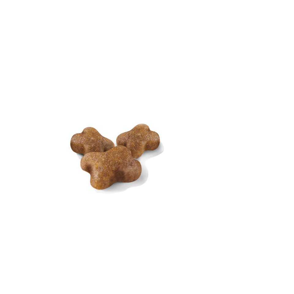 Royal Canin Kitten 4-12 Aylık Yavru Kedi Maması 2kg