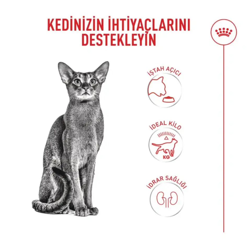 Royal Canin Fussy Exigent  Seçici Yetişkin Kedi Maması 4kg