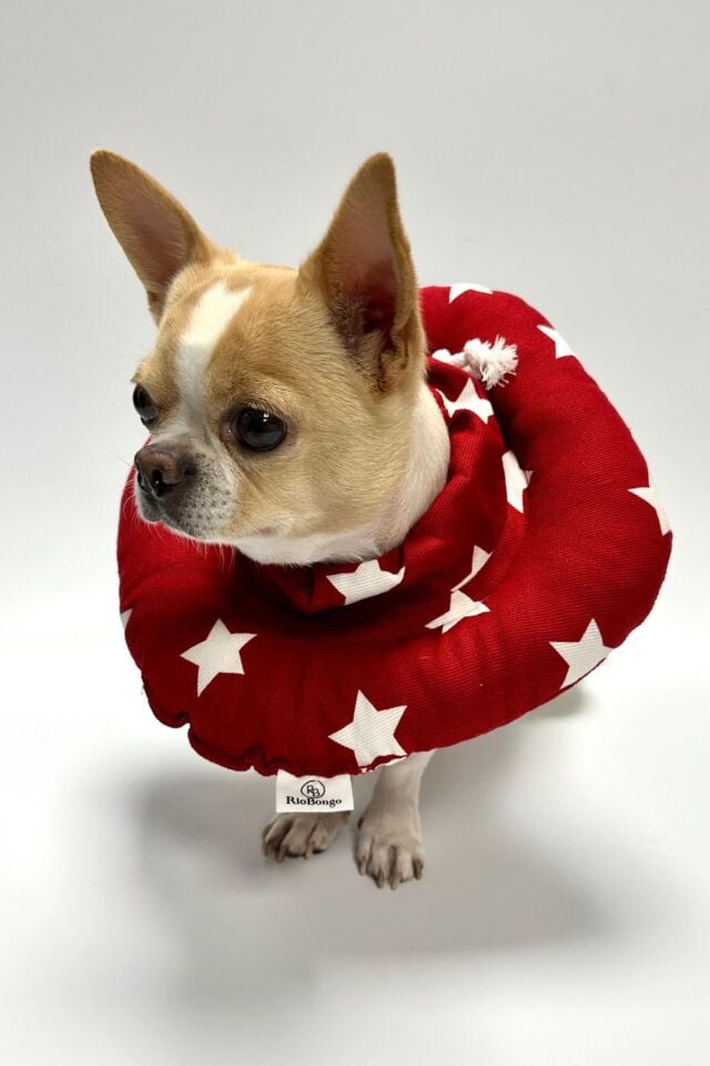 RİOBONGO Yıkanabilir Kedi & Köpek Yakalık Kırmızı No:7.5