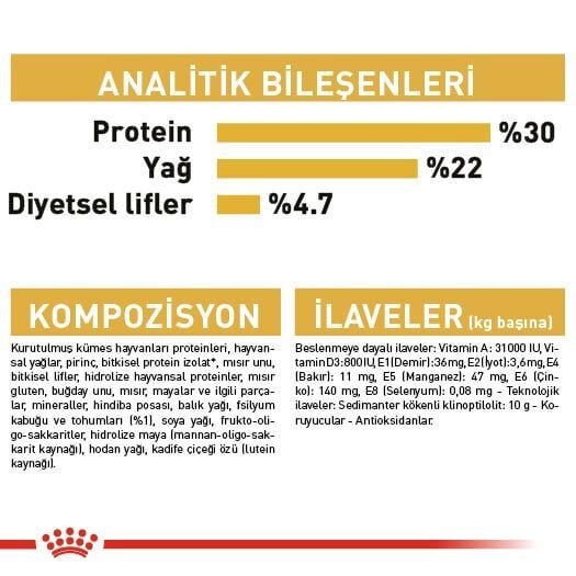 Royal Canin Persian İran Irkı Yetişkin Kedi Maması 10kg