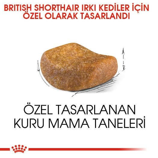 Royal Canin British Shorthair Yetişkin Kedi Maması 10kg