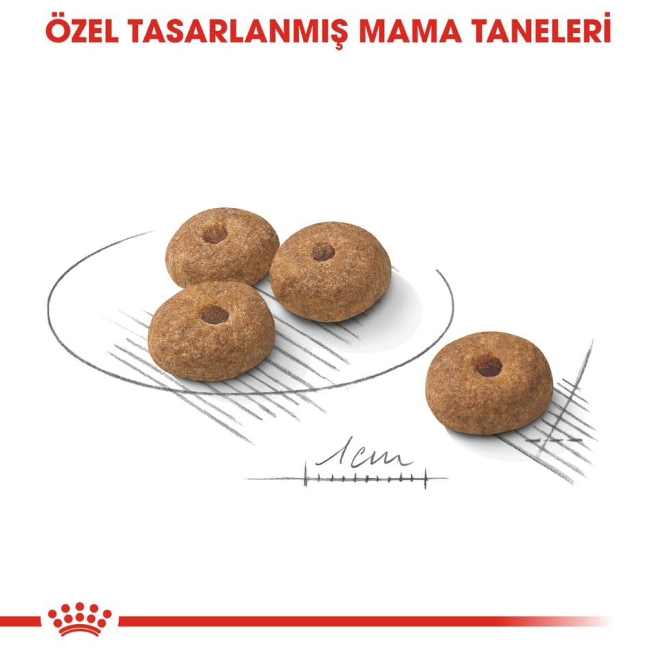 Royal Canin Sterilised Mini Kısırlaştırılmış Küçük Irk Köpek Maması 3kg