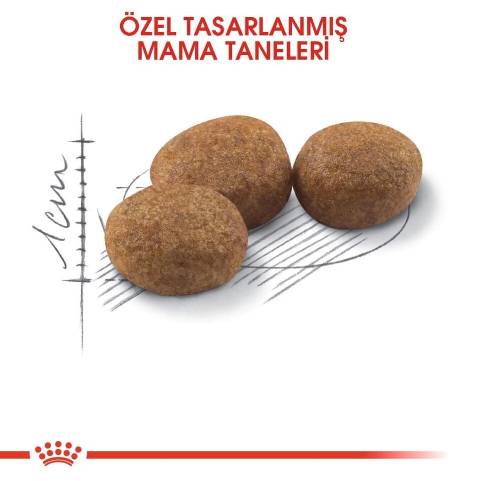 Royal Canin Sterilised 37 Kısırlaştırılmış Yetişkin Kedi Maması 2 Kg