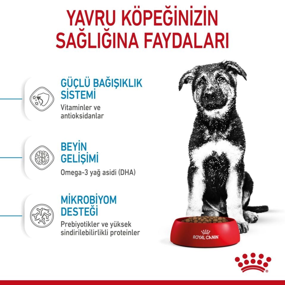 Royal Canin Maxi Puppy Büyük Irk Yavru Köpek Maması 15kg