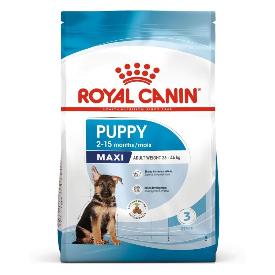 Royal Canin Maxi Puppy Büyük Irk Yavru Köpek Maması 15kg