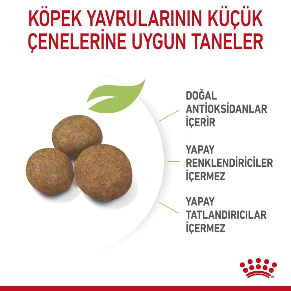 Royal Canin Maxi Puppy Büyük Irk Yavru Köpek Maması 15kg