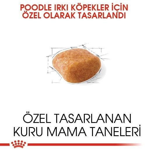 Royal Canin Poodle Irkı Yetişkin Köpek Maması 3kg