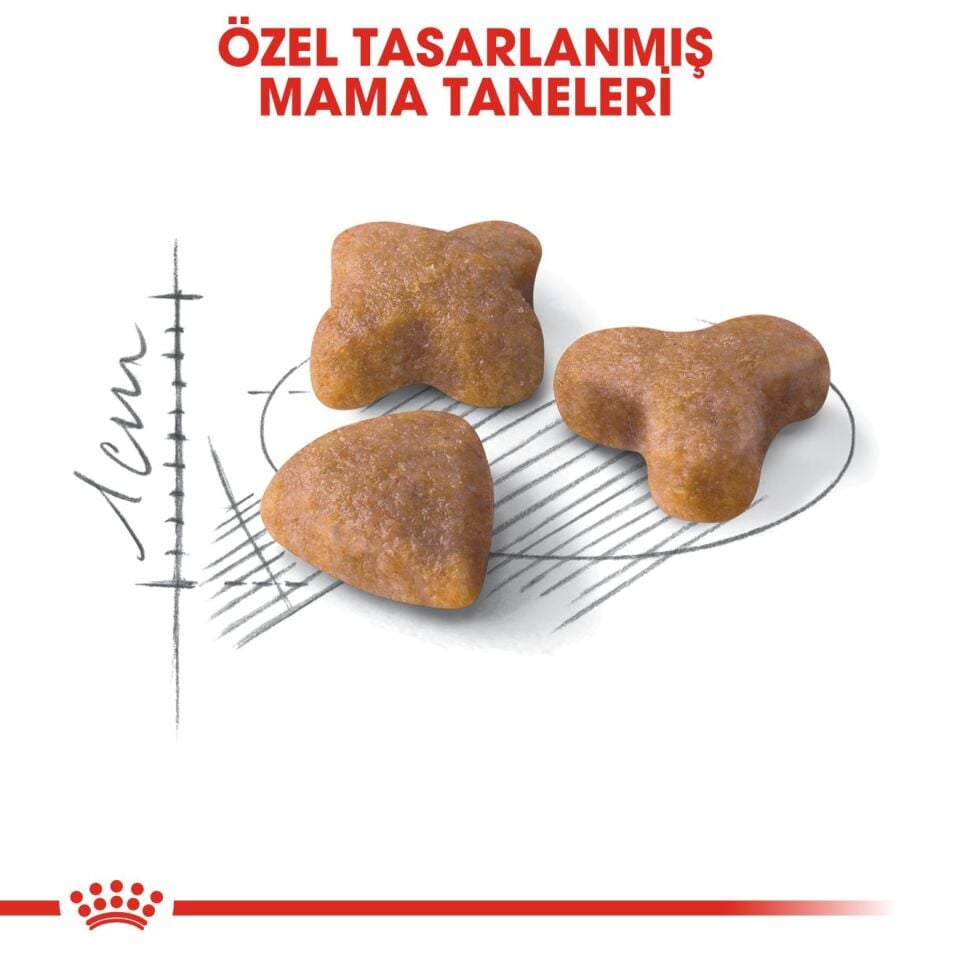 Royal Canin Sensible 33 Hassas Sindirim Sistemi olan Kediler için Yetişkin Kedi Maması 15kg