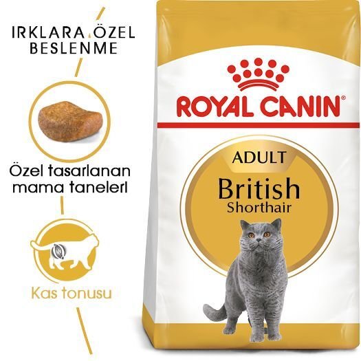 Royal Canin British Shorthair Yetişkin Kedi Maması 4kg