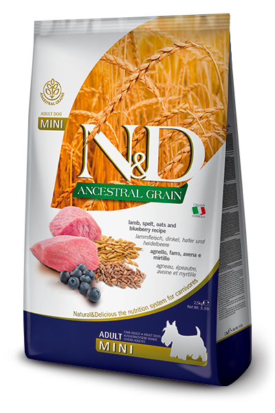 ND Ancestral Grain Tahıllı Kuzu Eti ve Yaban Mersinli Küçük Irk Yetişkin Köpek Maması 2,5kg