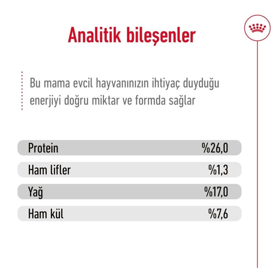 Royal Canin Maxi Adult Büyük Irk Yetişkin Köpek Maması 15kg