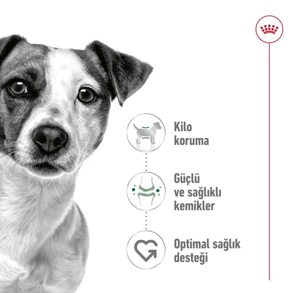 Royal Canin Mini Adult Küçük Irk Yetişkin Köpek Maması 4kg
