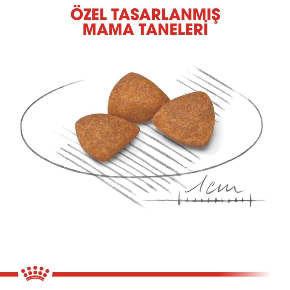 Royal Canin Xsmall Ageing +12 Küçük Irk Yaşlı Köpek Maması 1,5kg