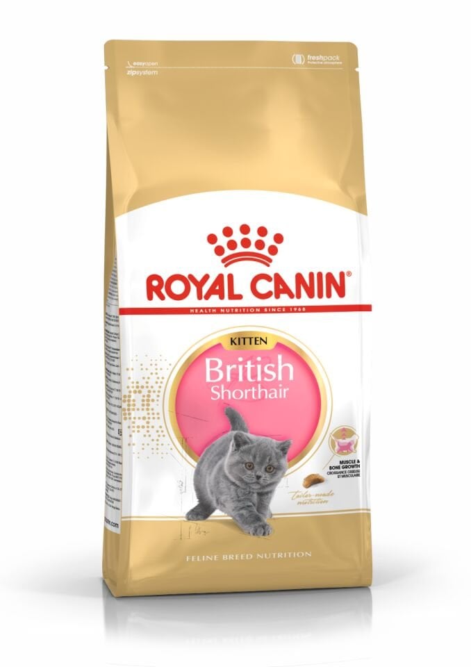 Royal Canin British Shorthair Kitten Yavru Kedi Maması 2kg