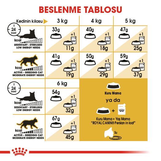 Royal Canin Persian İran Irkı Yetişkin Kedi Maması 2kg