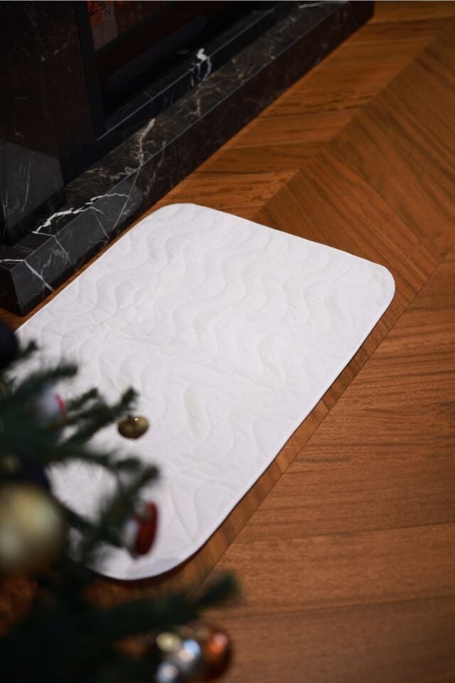 RİOBONGO | Yıkanabilir Köpek Çiş Pedi | Sıvı Geçirmez | Köpek Tuvalet Eğitimi | 60 X 90cm