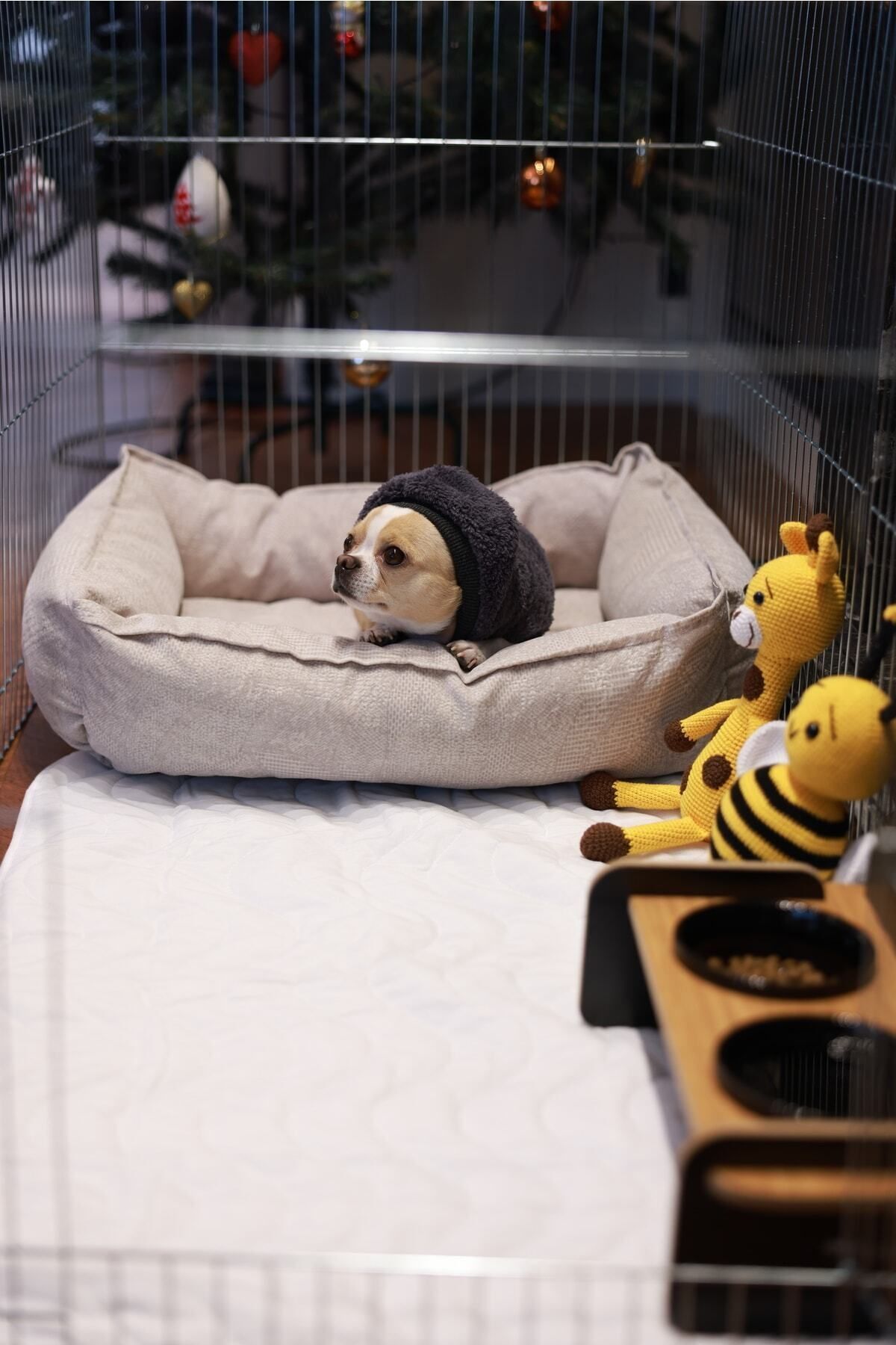 RİOBONGO | Yıkanabilir Köpek Çiş Pedi | Sıvı Geçirmez | Köpek Tuvalet Eğitimi | 60 X 90cm