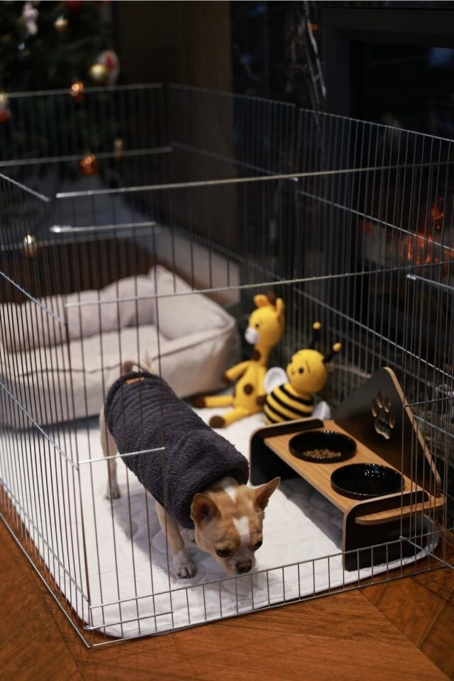 RİOBONGO | Yıkanabilir Köpek Çiş Pedi | Sıvı Geçirmez | Köpek Tuvalet Eğitimi | 60 X 90cm