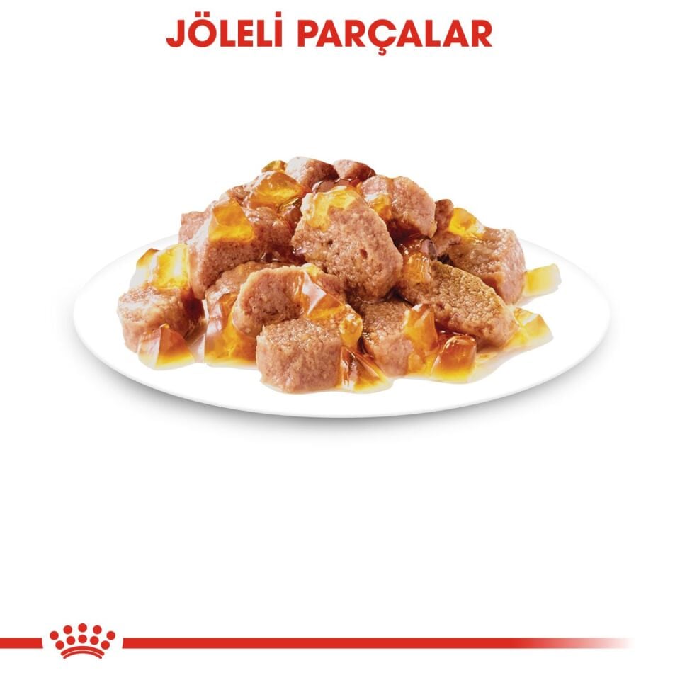 Royal Canin Steril Jelly Kısırlaştırılmış Kedi Konservesi 85gr x 12 Adet